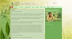 Desktop Screenshot of iboga-experience.nl