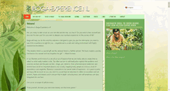 Desktop Screenshot of iboga-experience.com